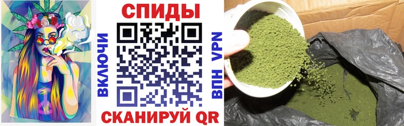 Купить закладки  Чердынь  Бутират жидкий экстази 