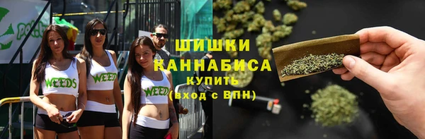 сатива Козловка