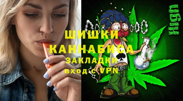 сатива Козловка