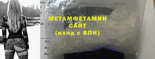сатива Козловка