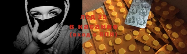 сатива Козловка