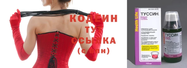 сатива Козловка