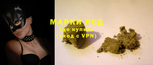 сатива Козловка