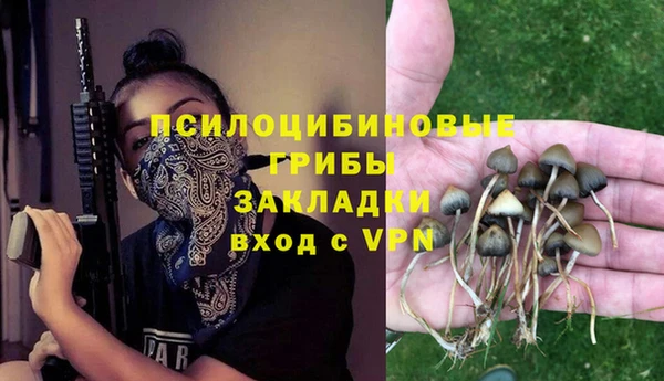 эйфоретик Козельск