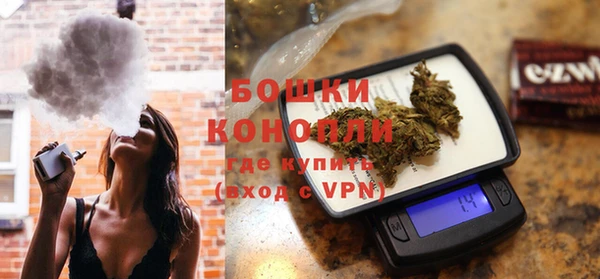 сатива Козловка