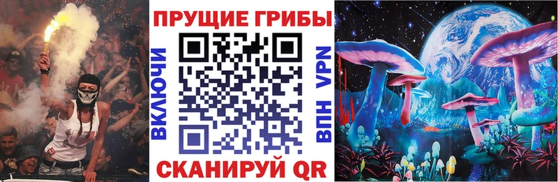 Галлюциногенные грибы Psilocybe  Купить где  Чердынь 